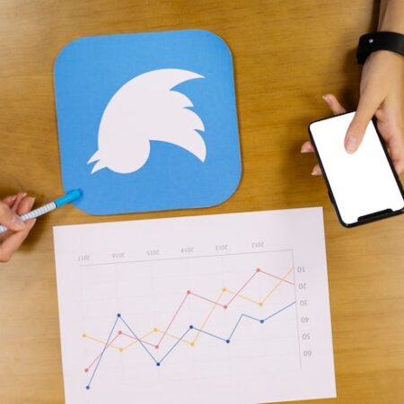 Twitter Ads Campaign Management